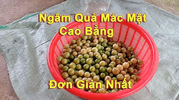 Ngâm Quả Mác Mật Cao Bằng Ngon Và Đơn Giản Nhất Vịnh Bắc Bộ.