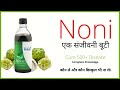 Modicare Noni (एक संजीवनी बूटी) Complete Details !