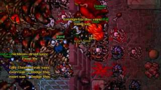 Famous Tibia - Calmera - Dark Torturers Wealth