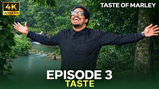 Living Like Bob Marley: Jamaica's Future [4K] | Taste of Marley EP 3