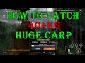 Fishing planet  how to catch 40kg90lb carp