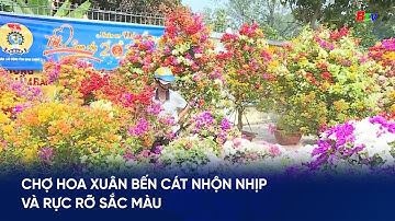 Chợ hoa xuân Bến Cát nhộn nhịp và rực rỡ sắc màu