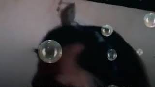 Download Lagu derita mu derita ku MP3