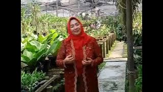 Erry Widyasworo Dewi dengan lagu Saputangan dari Bandung Selatan @wdbharata2486