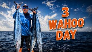 How We Found the Wahoo Bite (3 Fish Day Breakdown)