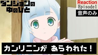 ダンジョンの中のひと 同時視聴