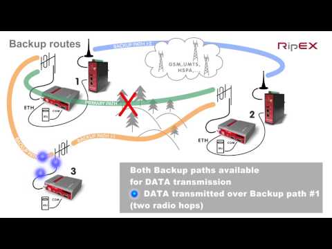 RipEX Backup routes