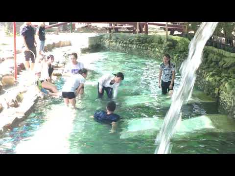 南投埔里 烤肉玩水一日遊