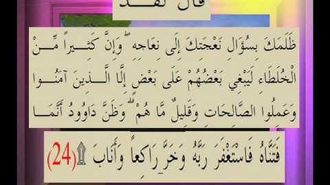القرآن الكريم سورة ص الأية 24