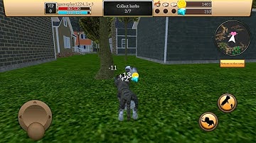 Cat Simulator - Animal Life Android Gameplay - Part 3