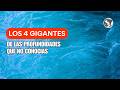 Los GIGANTES de las PROFUNDIDADES: Los Peces más Grandes del Océano 🌊