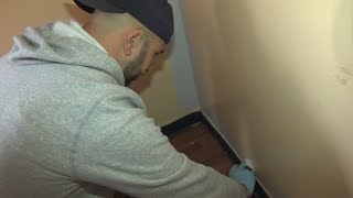 Volunteers work to reduce asthma attacks at Paterson shelter