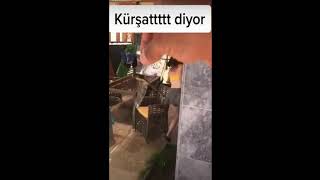 Kürşat diyor iyi dinleyin sesi full açın bende ilk emin olmadım ama kürşat dedi ❤