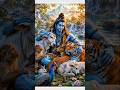 Shiv chalisa🌺 har har mahadev #trending #shorts #bhaktistatus #love #mahadev