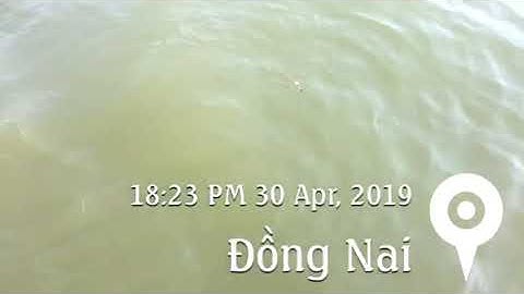 Câu cá nàng hai khu du lịch đảo Ó