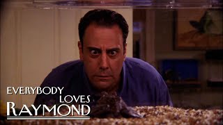 Angela LOVES Frogs | Everybody Loves Raymond by Everybody Loves Raymond 15,975 views 6 days ago 5 minutes, 1 second