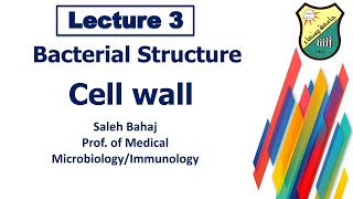 3- Bacterial structure - Cell wall