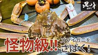 怪物級の特大ズワイガニ（加能ガニ）をさばいてみた