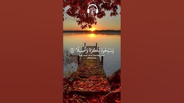اذكروا الله ذكرا كثيرا #سورة_الاحزاب #قران_كريم #اكسبلور #youtubeshort#quranexplorer #ماهر_المعيقلي