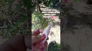 Viral Sheglam lip gloss dupe from meesho!! #lipgloss #meeshofinds #shorts