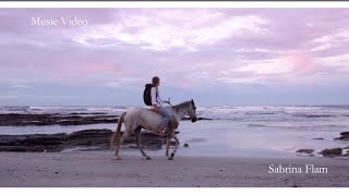 Dolce Vita - Nel Blu Dipinto Di Blu (Volare) Resimi