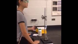 Erskin Lab Analysis of Bleach