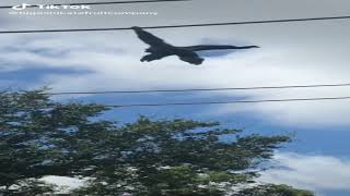 Look At This Monkey Ahah Funny Monkey Goes Ooga Booga