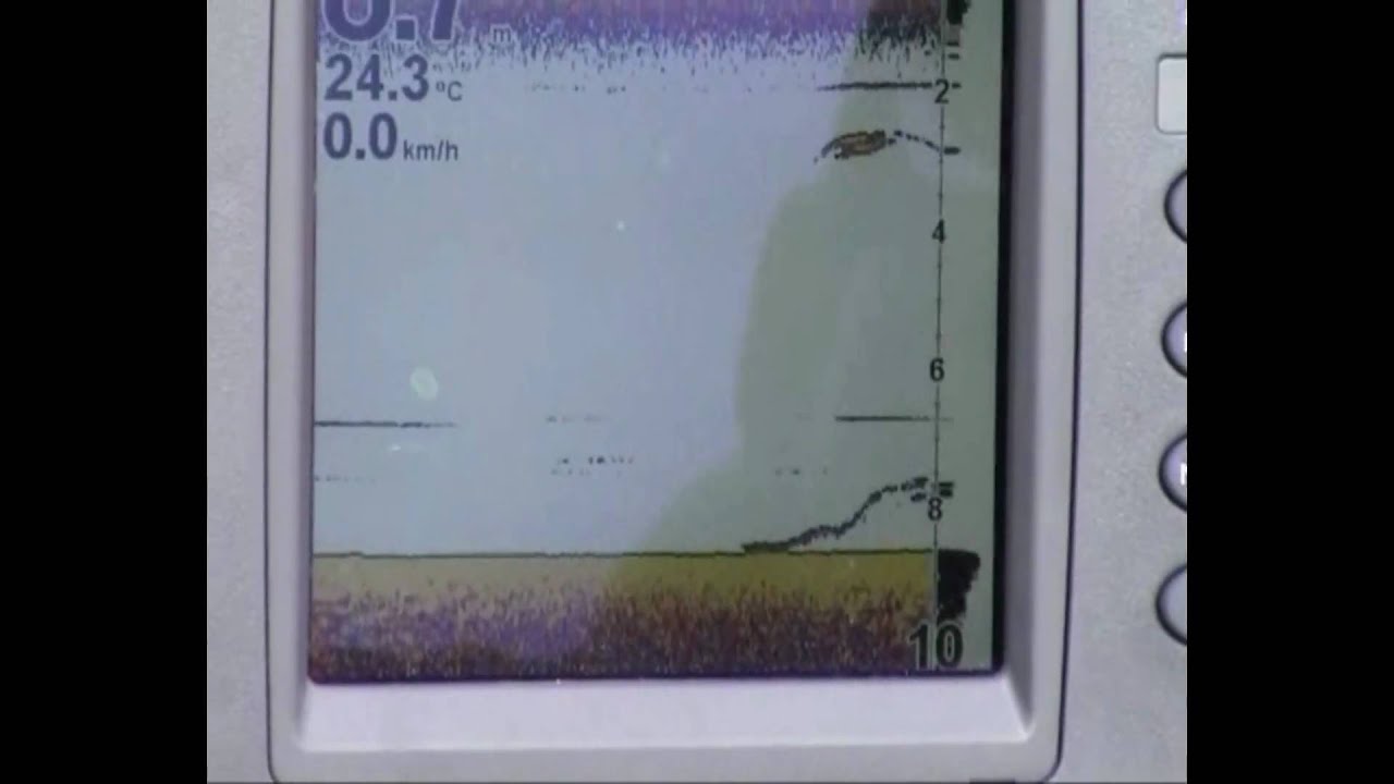 Silure Echosondeur.avi