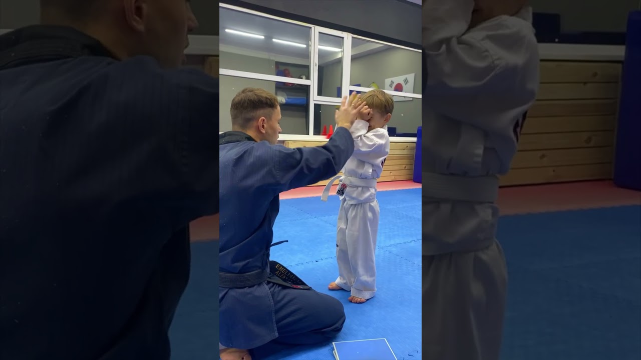 Taekwondo Kicks / Best Video Ever