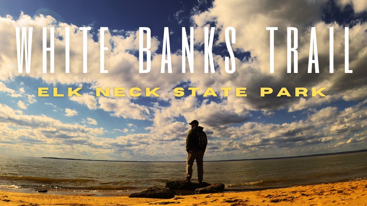Живописный Мэриленд: пляжи и обрывы государственного парка Элк-Нек, тропа Уайт-Бэнкс