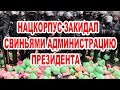 Нацкорпус закидал свиньями Администрацию Президента