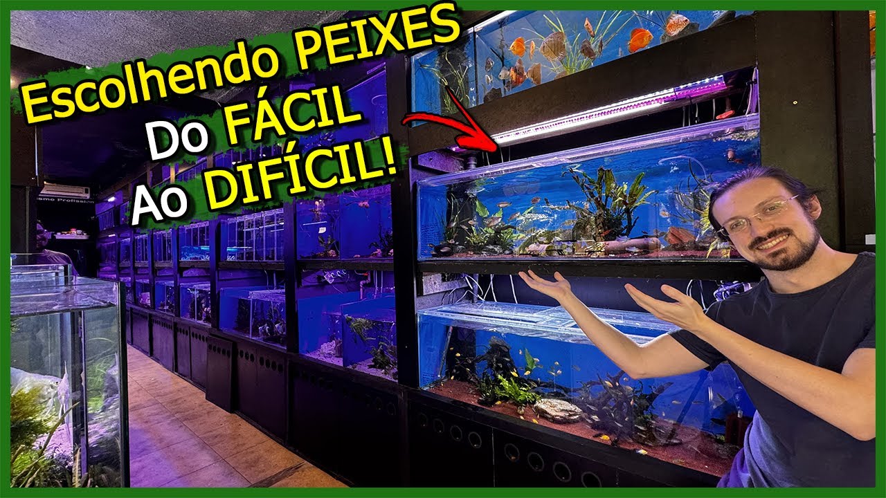 Escolhendo Peixes dos mais FÁCEIS aos mais DIFÍCEIS em Água Doce!