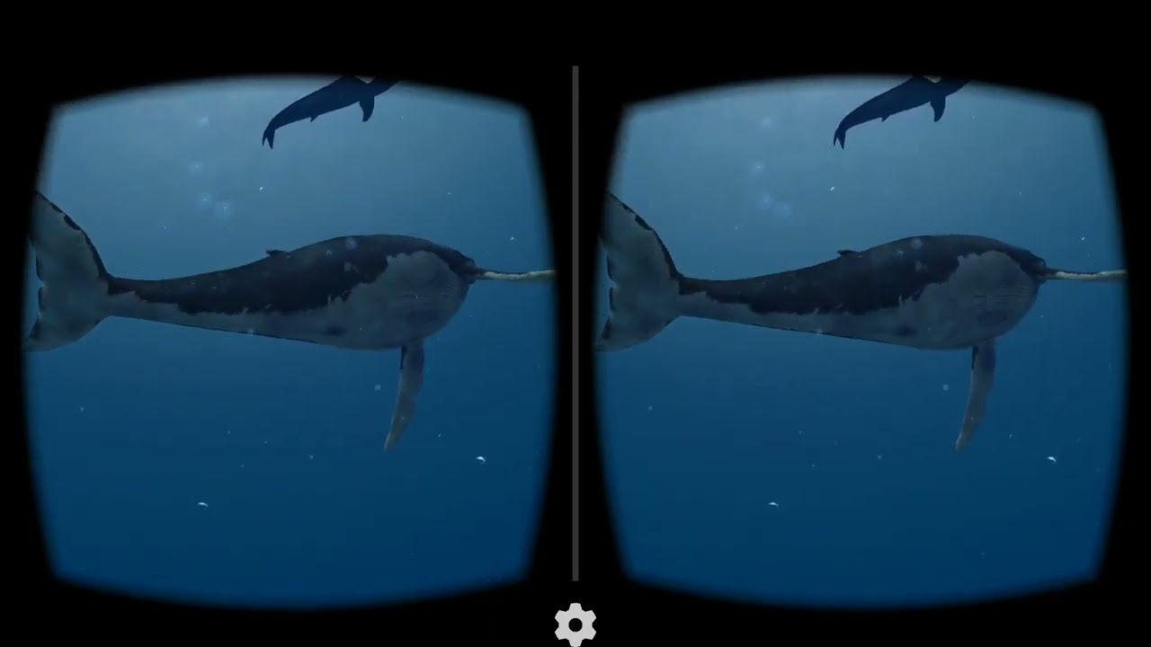 Whale VR box 360