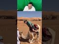 Try Not to Laugh Challenge Part 14 😂 #ComedyGold #TryNotToLaugh #FunnyFails