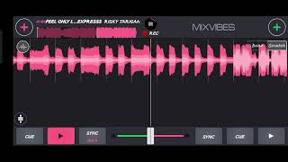 FEEL ONLY LOVE - ( R.T_ x DELIANA PUTRI )#VIP EXPRESSS