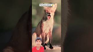 तुम Insan नहीं होते 🤔 pt38 | Find Your Animal 🐯 | Name Facts Shorts #shorts #facts #name #trending