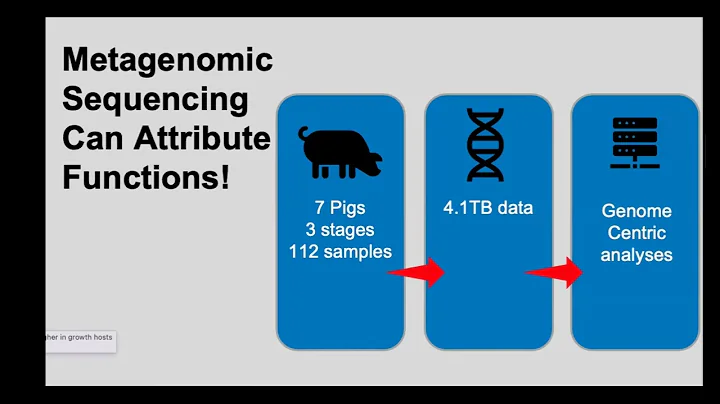 Identification of Microbiome Communities and Core Functional Microbiota in Healthy Pigs Production