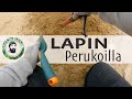 Metallinetsint lapin perukoilla  tervetuloa mukaan