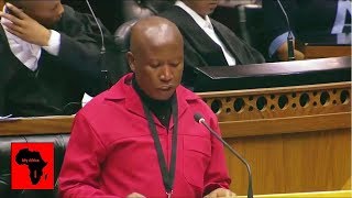 Julius Malema Pays Tribute To Robert Mugabe In Parliament