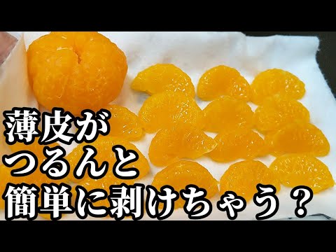 ミカンの皮(力作) ムッキーちゃん みかんの皮むき ミカン 蜜柑 皮むき器 ラクラク