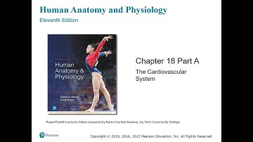 Chapter 18: The Heart - Part I