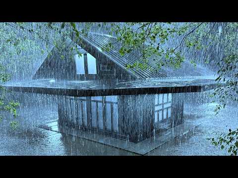 Relax Your Spirit for Deep Sleep with Forceful Rain & Steady Thunder on a Metal Roof in Wet Forest