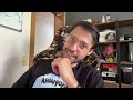 Como um programador solo inicia a semana. Vlog