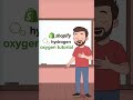 Get Ahead of the Competition with Hydrogen and Oxygen #shopifyapp
