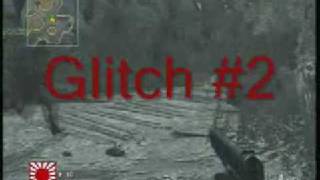 3 makin Glitches COD5