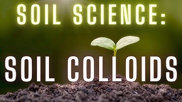Soil Colloids: What Are They?