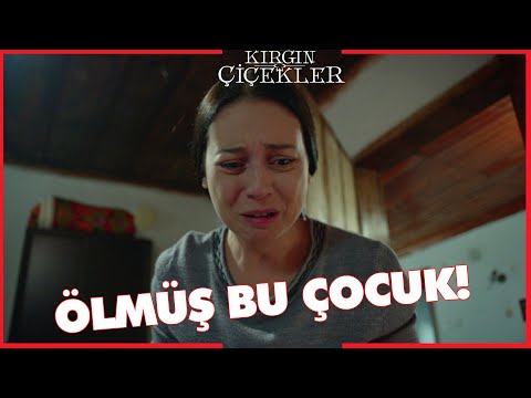 Kırgın Çiçekler Özel Kısa Bölümler | 205