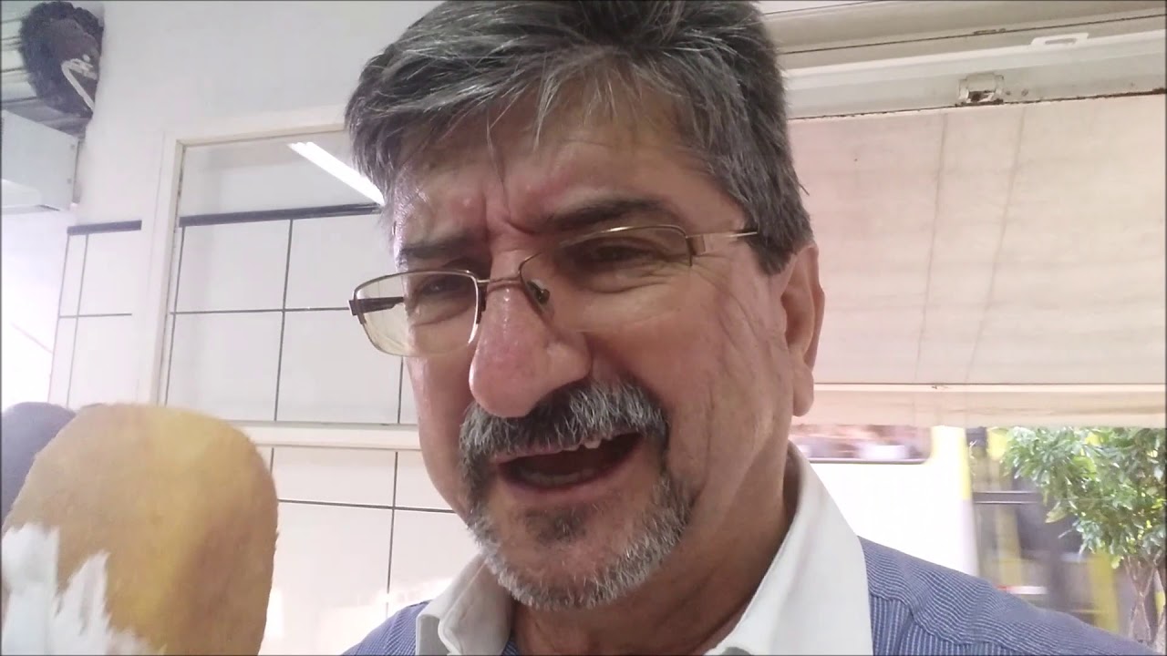 MELHOR BOLINHO DE CARNE E DE QUEIJO DE LONDRINA By FARINA casa abandonada por dentro