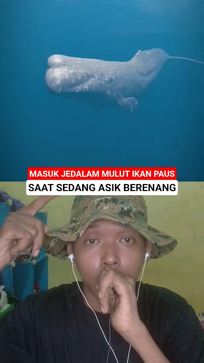 SEORANG BAPAK DITELAN IKAN PAUS SAAT LAGI BERENANG‼️ #facts #animation #mermaid #funny #duet