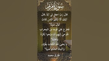 The Holy Quran Tareq Mohammad Surah Mryam طارق محمد - القرآن الكريم سورة مريم